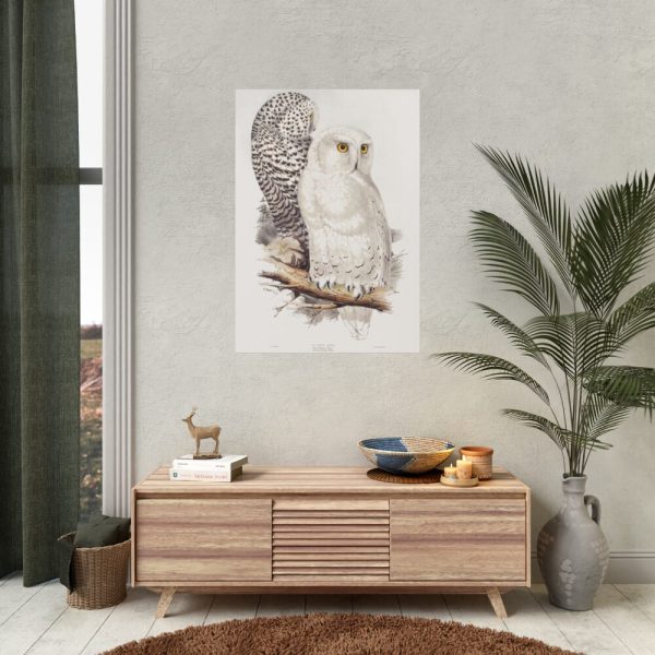 Snowy Owl by John G., Edward L. and Charles J. H. Poster
