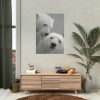 Polar Bears in the Winter Poster