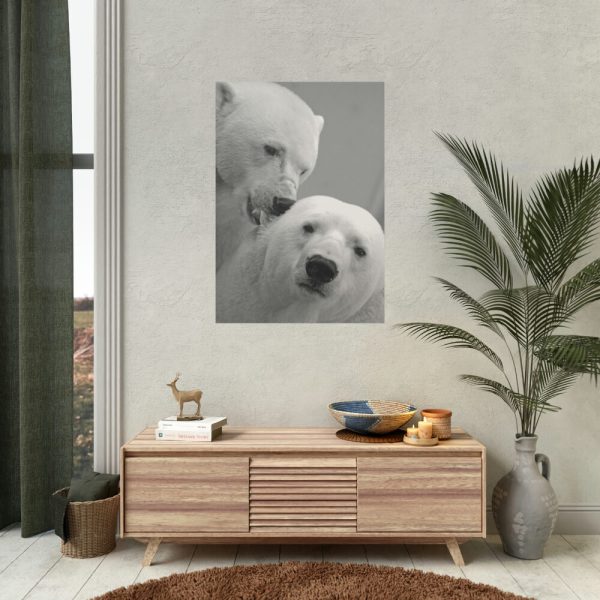 Polar Bears in the Winter Poster