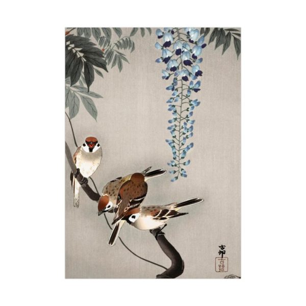 92411-150.jpg Ring sparrows at wisteria Poster