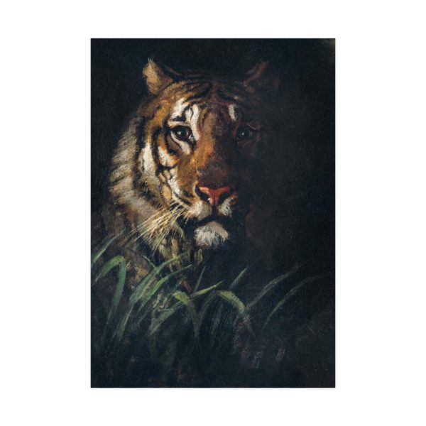92411-162.jpg Tiger's Head painting in high Poster