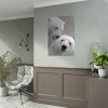 Polar Bears in the Winter Poster