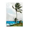 92411-66.jpg Palm Tree, Nassau by Winslow Homer Poster
