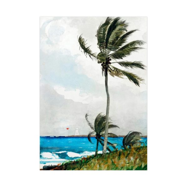 92411-66.jpg Palm Tree, Nassau by Winslow Homer Poster