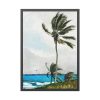 93830-100.jpg Palm Tree, Nassau by Winslow Homer Framed Poster