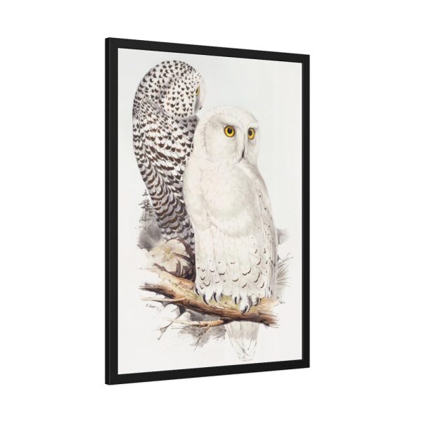 93830-189.jpg Snowy Owl by John G., Edward L. and Charles J. H. Framed Poster