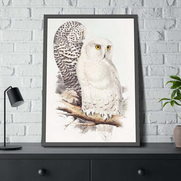 93830-191.jpg Snowy Owl by John G., Edward L. and Charles J. H. Framed Poster