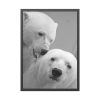 93830-20.jpg Polar Bears in the Winter Framed Posters
