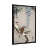 93830-201.jpg Ring sparrows at wisteria Framed Poster