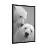 93830-21.jpg Polar Bears in the Winter Framed Posters