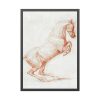 93830-8.jpg A Prancing Horse, Facing Right by George Stubbs Framed Poster
