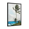 93831-101.jpg Palm Tree, Nassau by Winslow Homer Framed Poster