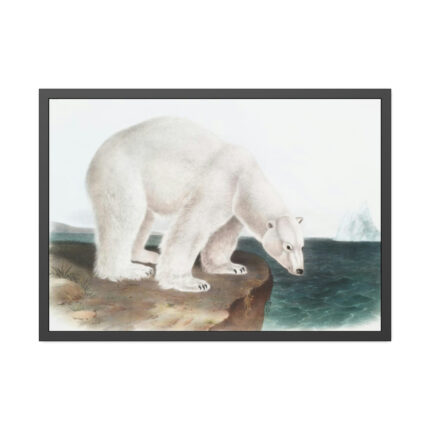 Polar Bear by John Woodhouse Audubon Framed Posters