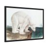 93854-25.jpg Polar Bear by John Woodhouse Audubon Framed Posters
