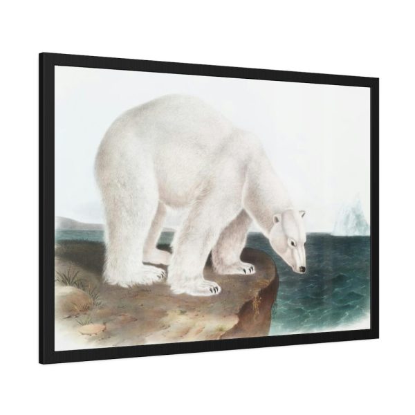 93854-25.jpg Polar Bear by John Woodhouse Audubon Framed Posters