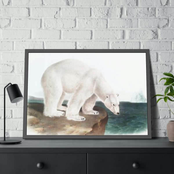 93854-27.jpg Polar Bear by John Woodhouse Audubon Framed Posters