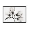 93854-279.jpg Magnolia Branch with Four Flowers Framed Poster