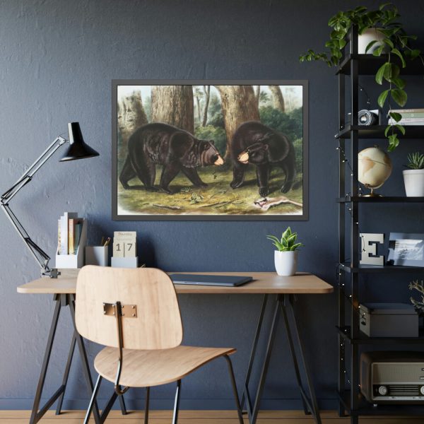 93854-34.jpg American Black Bears by John Woodhouse Audubon Framed Posters