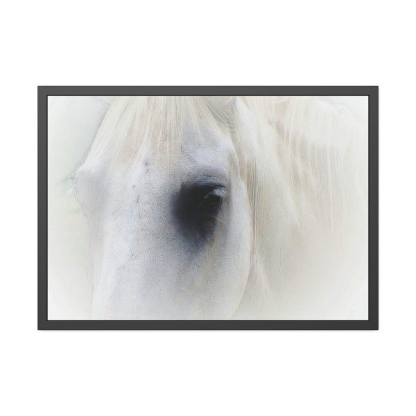 Closeup Shot of a White Horse Framed Poster