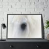 Closeup Shot of a White Horse Framed Poster