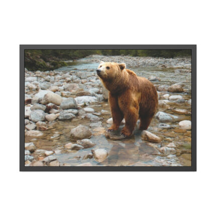 Grizzly Brown Bear Framed Posters