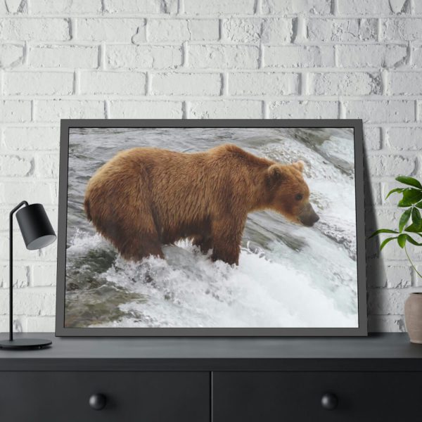93854-59.jpg Grizzly Bear In National Park Framed Posters