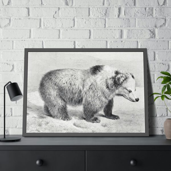 93854-63.jpg Vintage Bear Illustration by Richard Lydekker Framed Posters