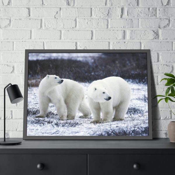 Polar Bears Walking Together Framed Poster