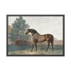 93855.jpg Anvil by George Stubbs Framed Posters