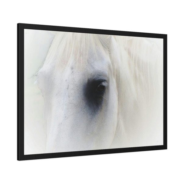 Closeup Shot of a White Horse Framed Poster