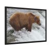 93855-57.jpg Grizzly Bear In National Park Framed Posters