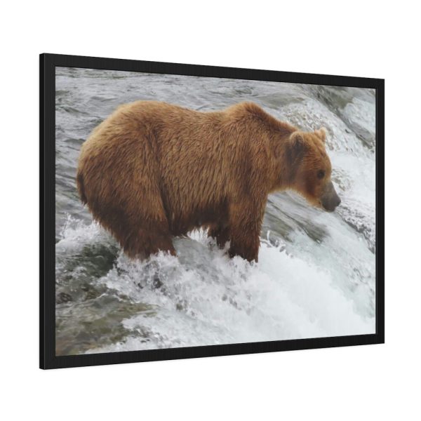 93855-57.jpg Grizzly Bear In National Park Framed Posters