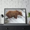 93855-59.jpg Grizzly Bear In National Park Framed Posters