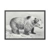 93855-60.jpg Vintage Bear Illustration by Richard Lydekker Framed Posters