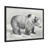93855-61.jpg Vintage Bear Illustration by Richard Lydekker Framed Posters