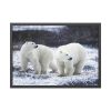 Polar Bears Walking Together Framed Poster