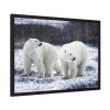 Polar Bears Walking Together Framed Poster