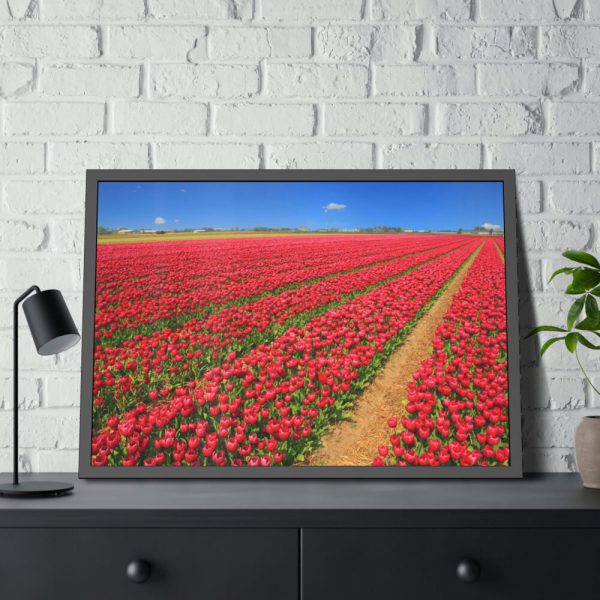 93855-83.jpg Red Tulips Field Framed Poster