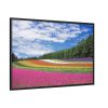 88289-170.jpg Free Tulip Garden Framed Canvas