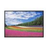 88289-171.jpg Free Tulip Garden Framed Canvas
