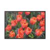 88289-181.jpg Garden Plant Framed Canvas