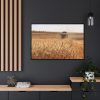 Tractor Harvest Grains of Wheat in a Farm Field Framed Canvas