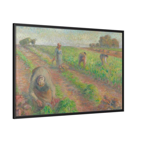 88289-25.jpg The Beet Harvest Framed Canvas