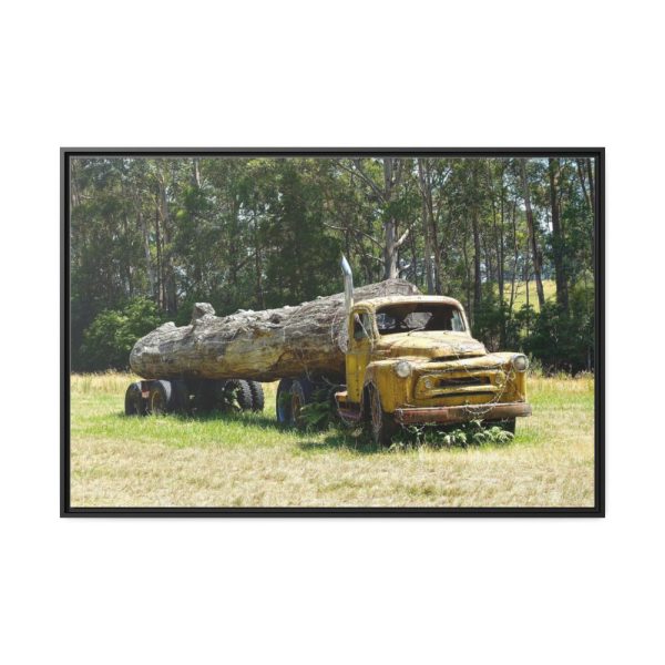 88289-266.jpg Log Truck Wrapped in Wire Framed Canvas