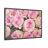 88289-290.jpg Rose Pink Roses Framed Canvas