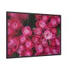 Flowers Rose Pink Bouquet Framed Canvas