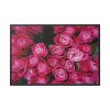 Flowers Rose Pink Bouquet Framed Canvas