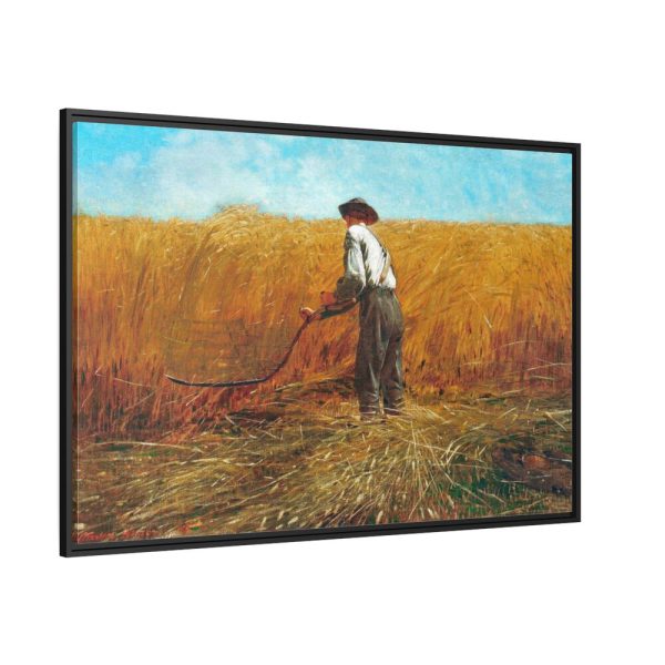 The Veteran in a New Field  Framed Canvas