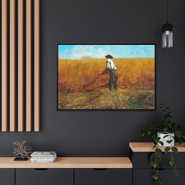 The Veteran in a New Field  Framed Canvas