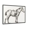 88289-345.jpg Standing horse by Jean Bernard Framed Canvas